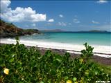 Escondida Beach of Vieques - VIEQUES